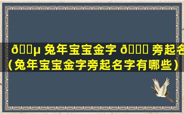🐵 兔年宝宝金字 🐘 旁起名字（兔年宝宝金字旁起名字有哪些）